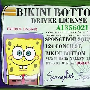 Meet your Posher, Jeff